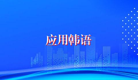 应用韩语