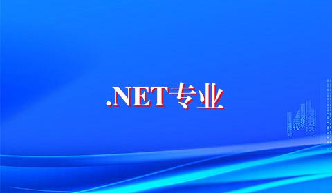 .NET专业