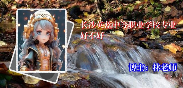 长沙英蓝中等职业学校专业好不好