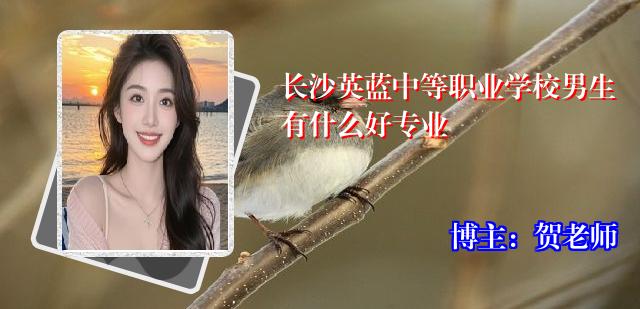 长沙英蓝中等职业学校男生有什么好专业