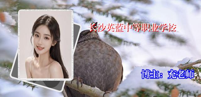 长沙英蓝中等职业学校