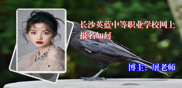 长沙英蓝中等职业学校网上报名如何