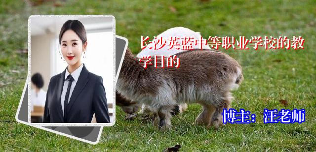 长沙英蓝中等职业学校的教学目的