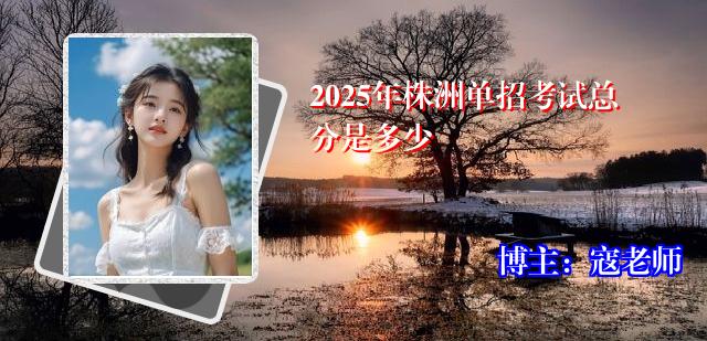 2025年株洲单招考试总分是多少