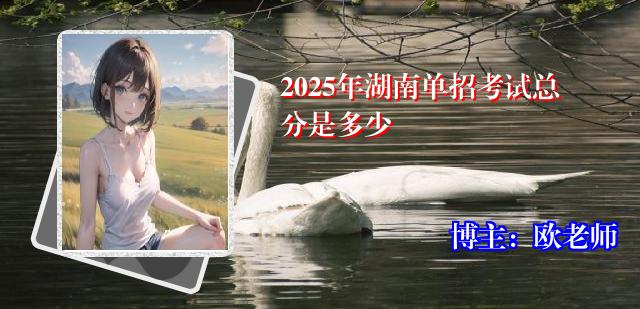 2025年湖南单招考试总分是多少