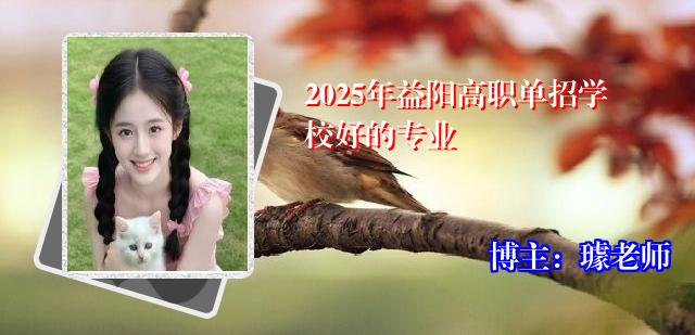 2025年益阳高职单招学校好的专业