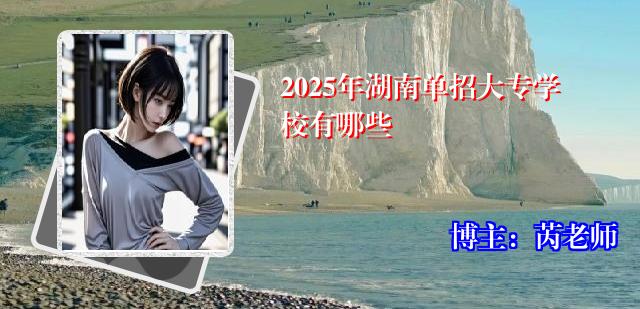 2025年湖南单招大专学校有哪些