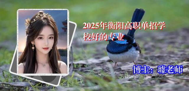 2025年衡阳高职单招学校好的专业
