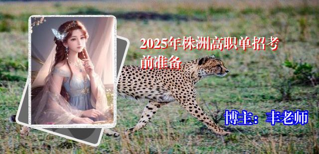 2025年株洲高职单招考前准备