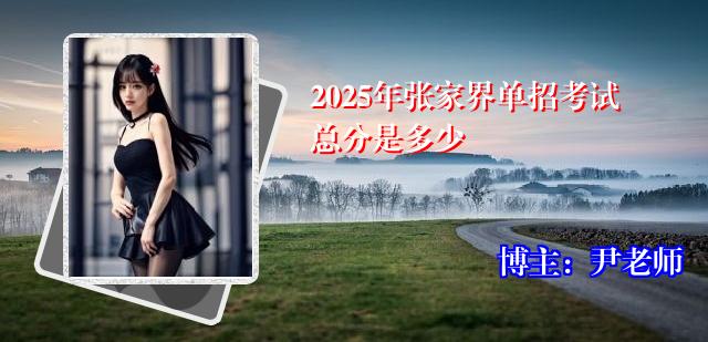 2025年张家界单招考试总分是多少