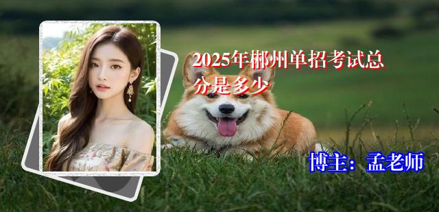 2025年郴州单招考试总分是多少