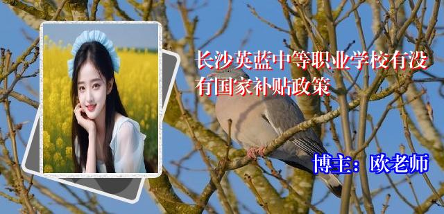 长沙英蓝中等职业学校有没有国家补贴政策