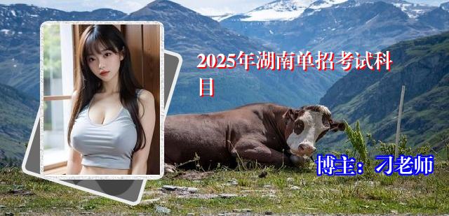 2025年湖南单招考试科目