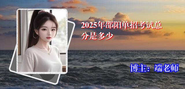 2025年邵阳单招考试总分是多少