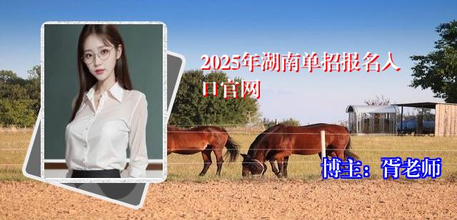 2025年湖南单招报名入口官网