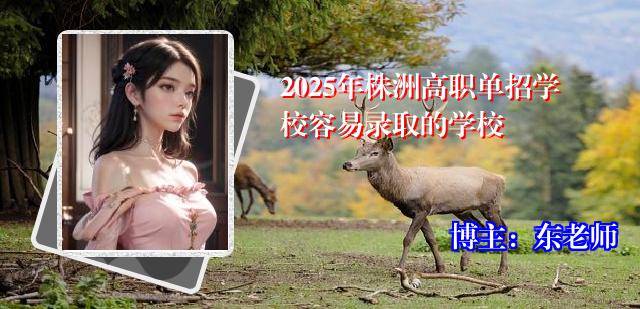2025年株洲高职单招学校容易录取的学校