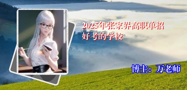 2025年张家界高职单招好考的学校