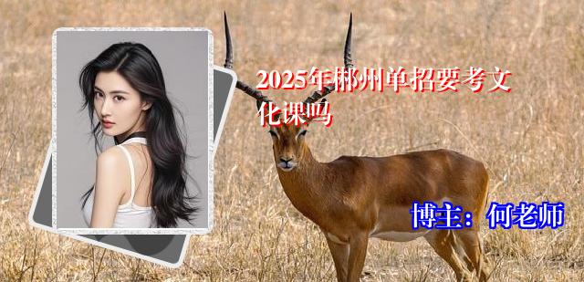 2025年郴州单招要考文化课吗