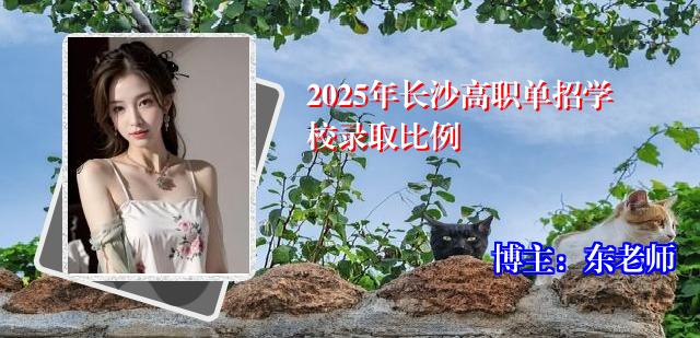 2025年长沙高职单招学校录取比例