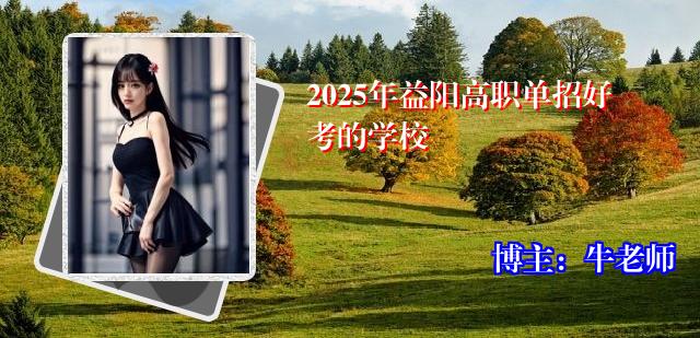 2025年益阳高职单招好考的学校