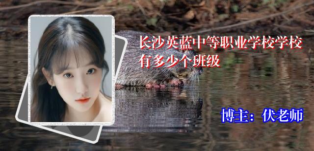 长沙英蓝中等职业学校学校有多少个班级