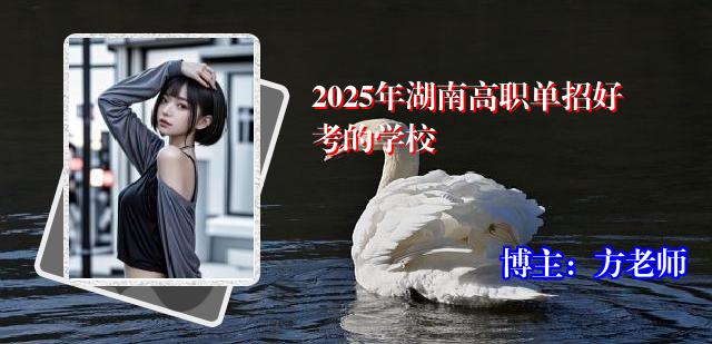 2025年湖南高职单招好考的学校