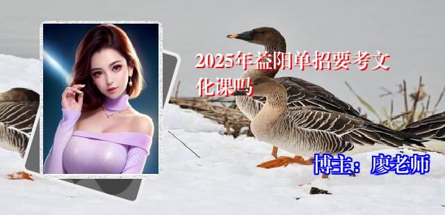 2025年益阳单招要考文化课吗