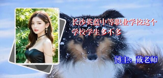 长沙英蓝中等职业学校这个学校学生多不多
