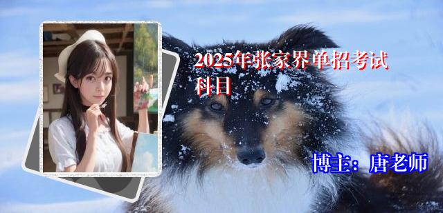 2025年张家界单招考试科目