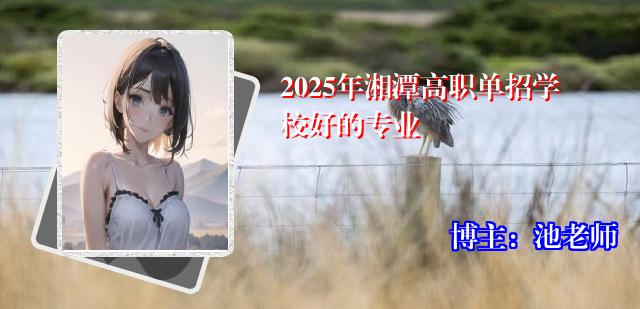 2025年湘潭高职单招学校好的专业