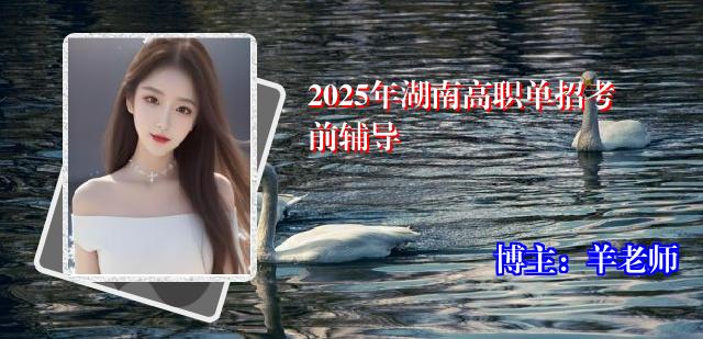 2025年湖南高职单招考前辅导