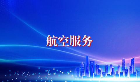 航空服务