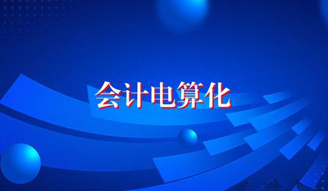 会计电算化