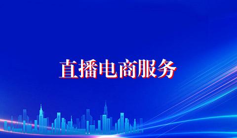 直播电商服务