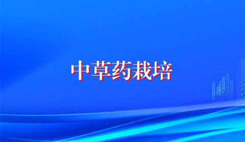 中草药栽培