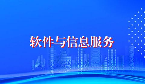 软件与信息服务