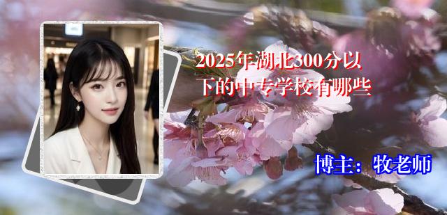2025年湖北300分以下的中专学校有哪些