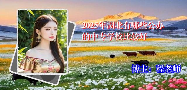 2025年湖北有哪些公办的中专学校比较好