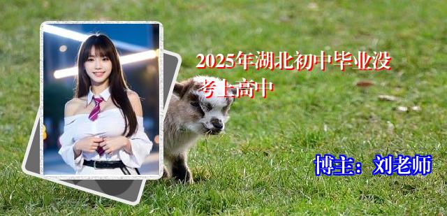 2025年湖北初中毕业没考上高中