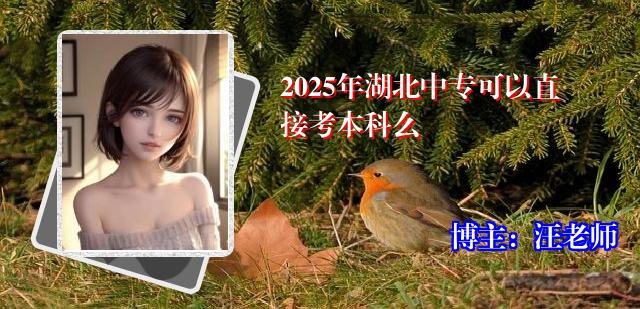 2025年湖北中专可以直接考本科么