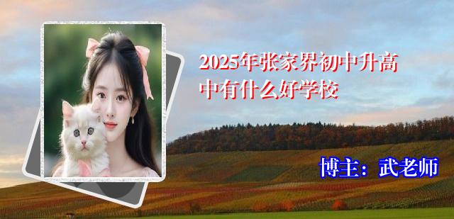 2025年张家界初中升高中有什么好学校