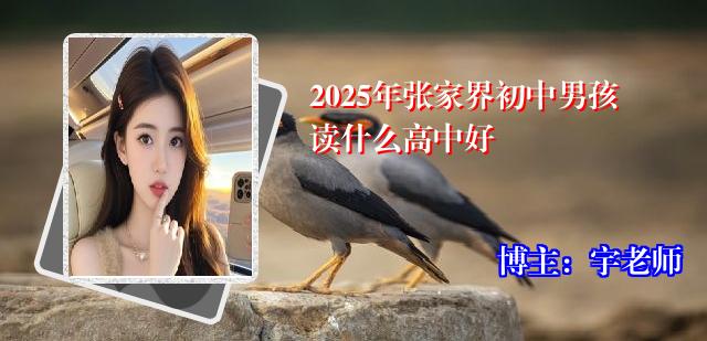 2025年张家界初中男孩读什么高中好