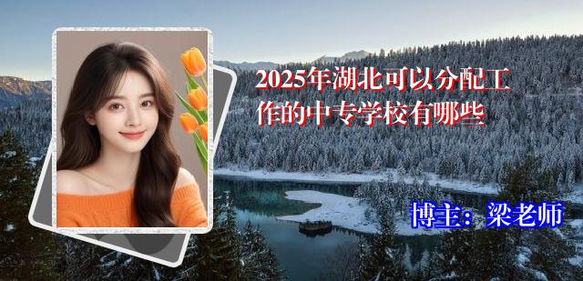 2025年湖北可以分配工作的中专学校有哪些