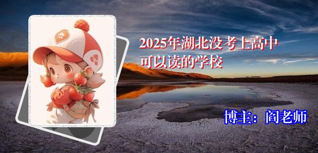 2025年湖北没考上高中可以读的学校