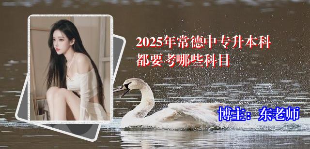 2025年常德中专升本科都要考哪些科目