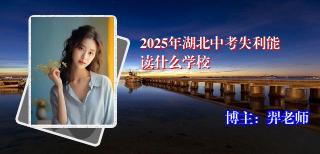 2025年湖北中考失利能读什么学校
