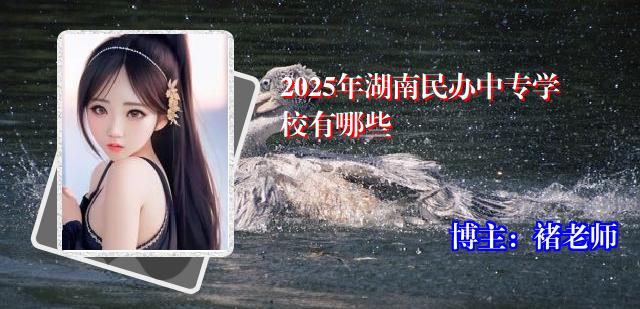 2025年湖南民办中专学校有哪些