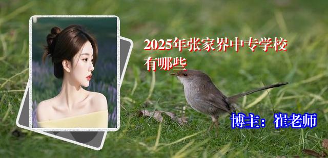 2025年张家界中专学校有哪些