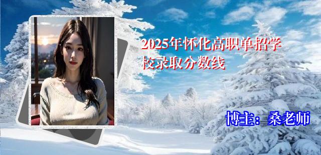 2025年怀化高职单招学校录取分数线