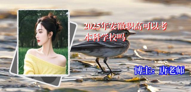 2025年安徽职高可以考本科学校吗